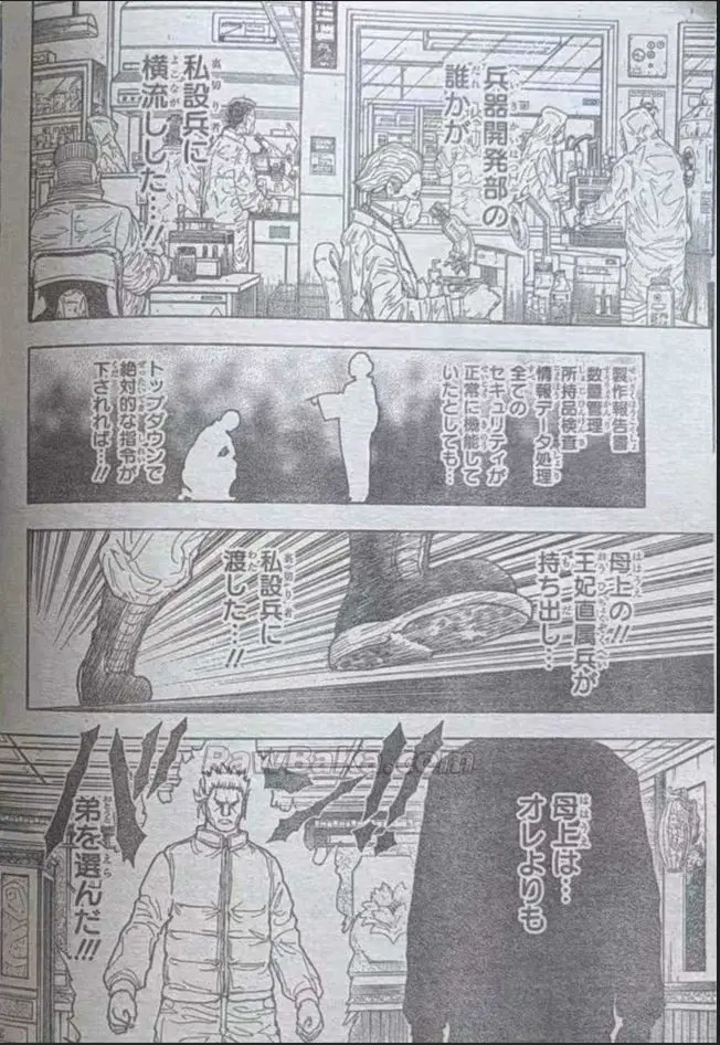 Hunter X Hunter capítulo 413, página 10
