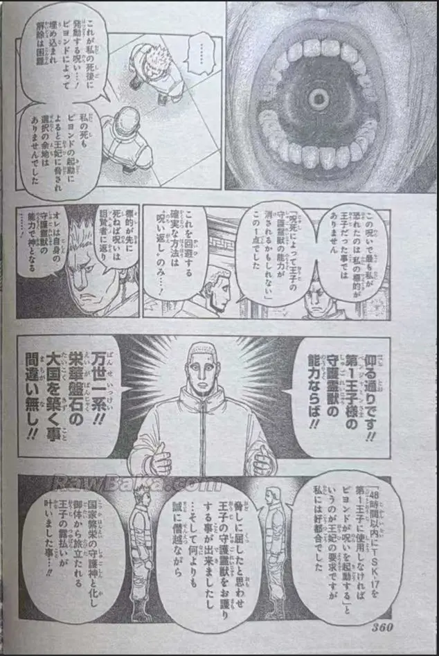 Hunter X Hunter capítulo 413, página 12