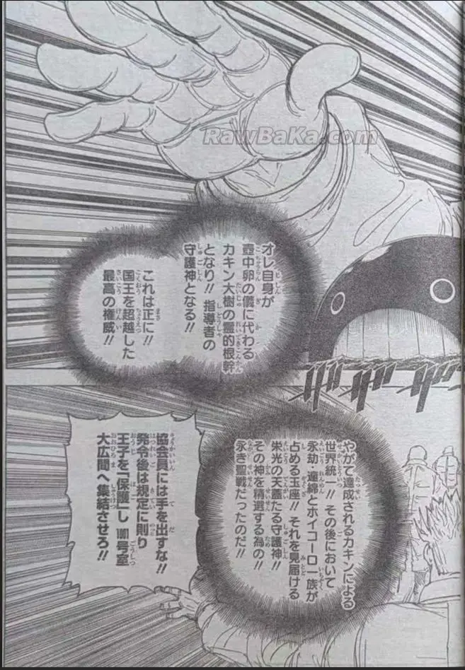 Hunter X Hunter capítulo 413, página 17