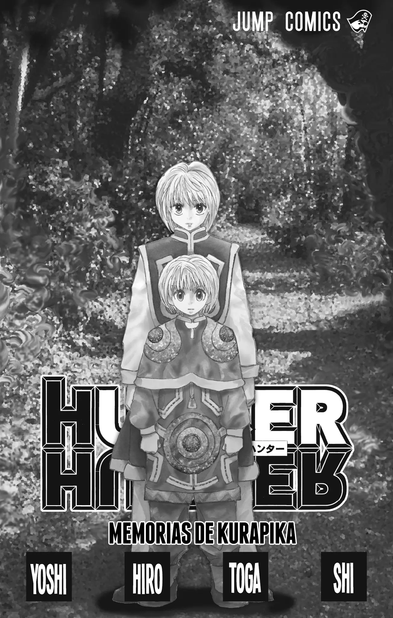 Hunter X Hunter capítulo 416.5, página 2