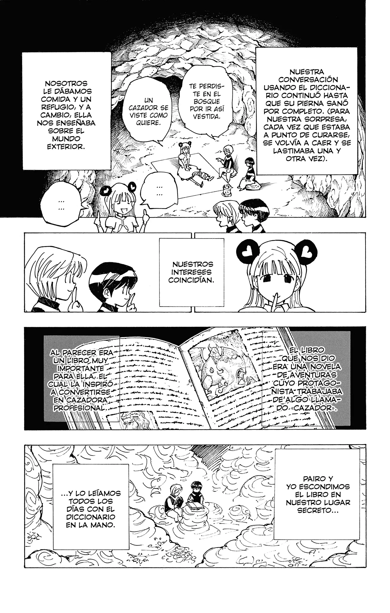 Hunter X Hunter capítulo 416.5, página 12