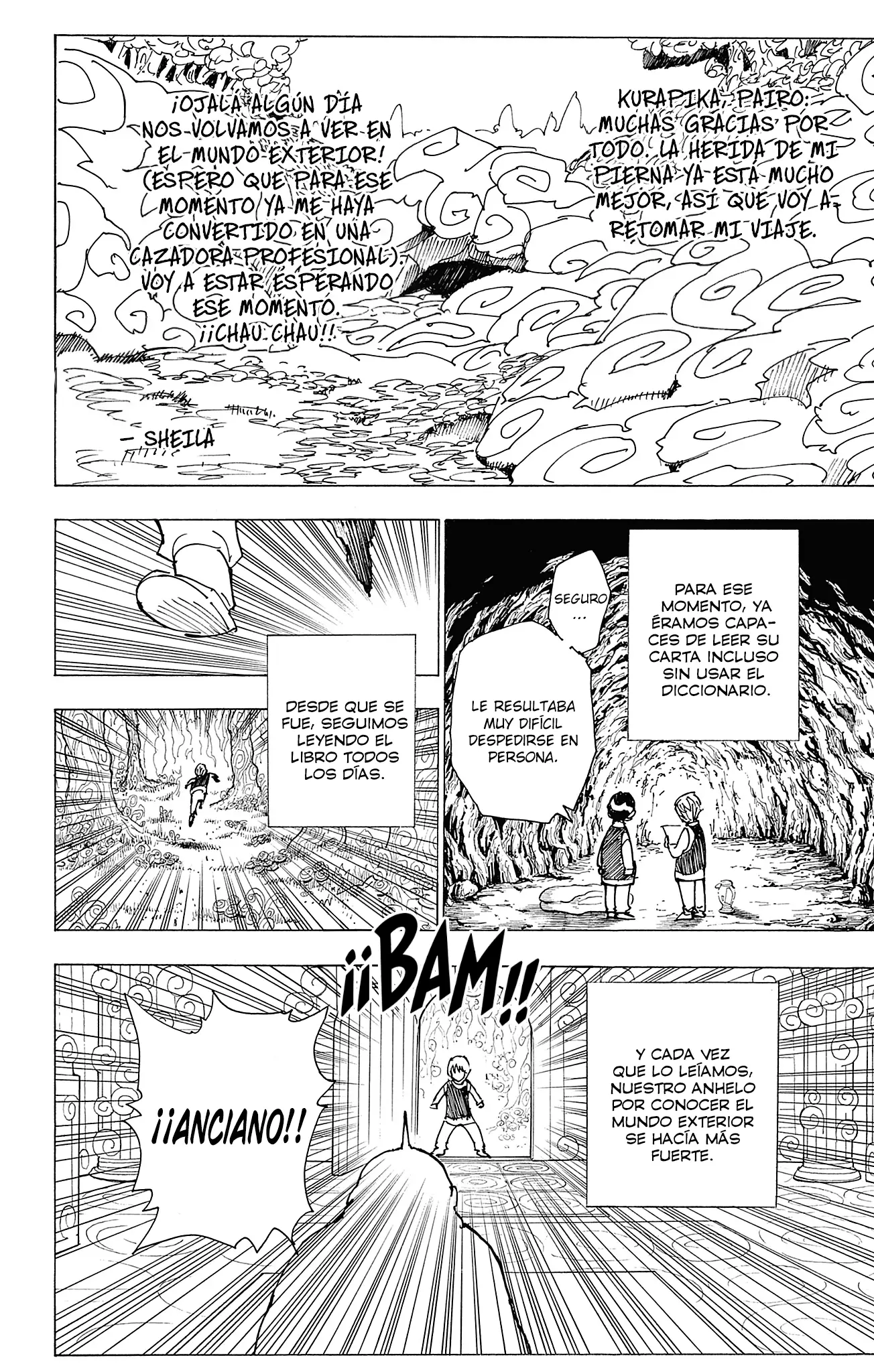 Hunter X Hunter capítulo 416.5, página 13