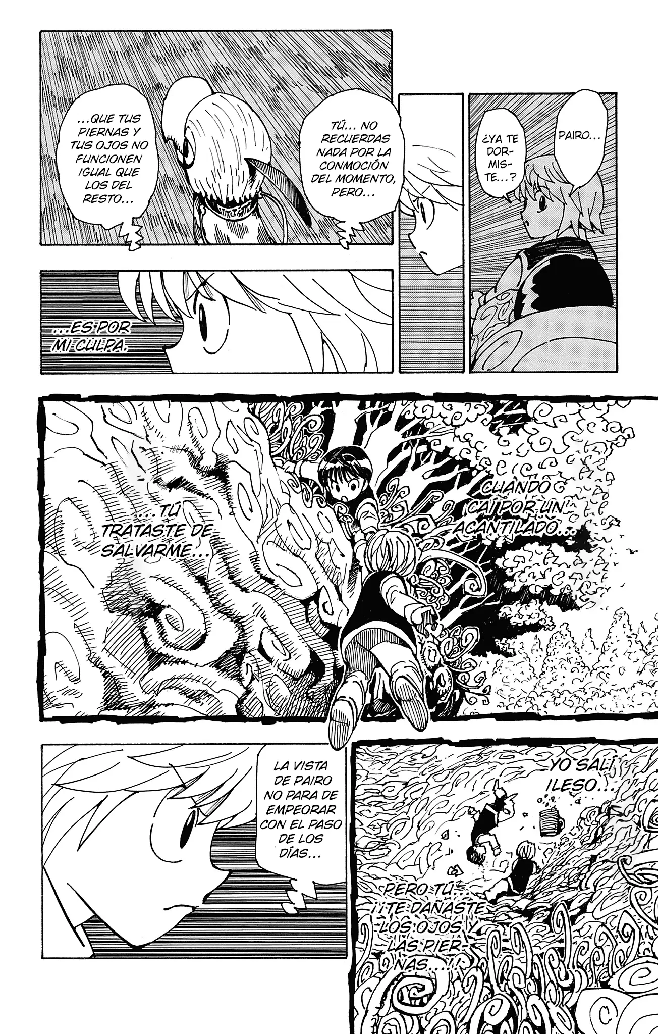 Hunter X Hunter capítulo 416.5, página 29