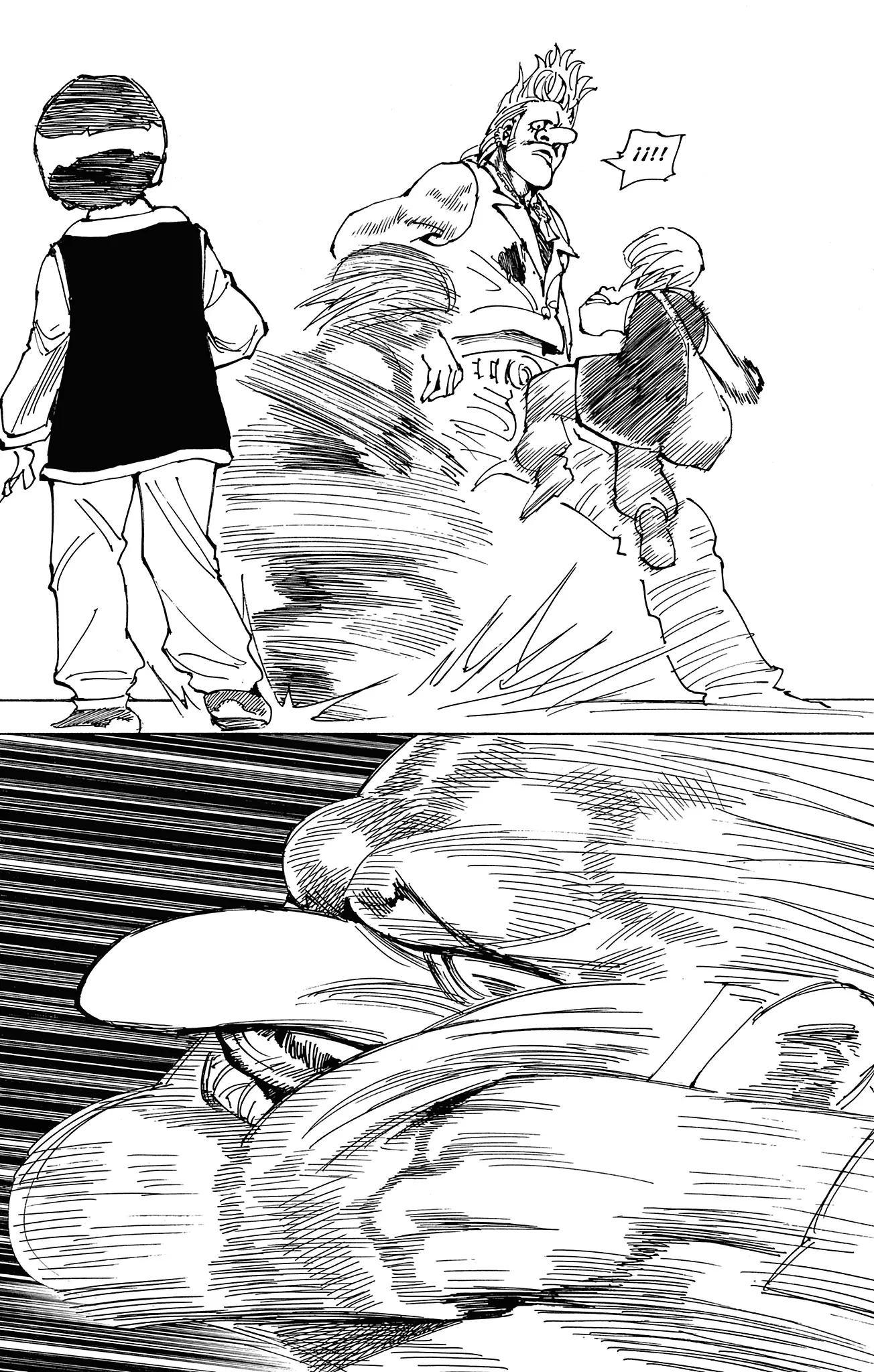 Hunter X Hunter capítulo 416.5, página 45