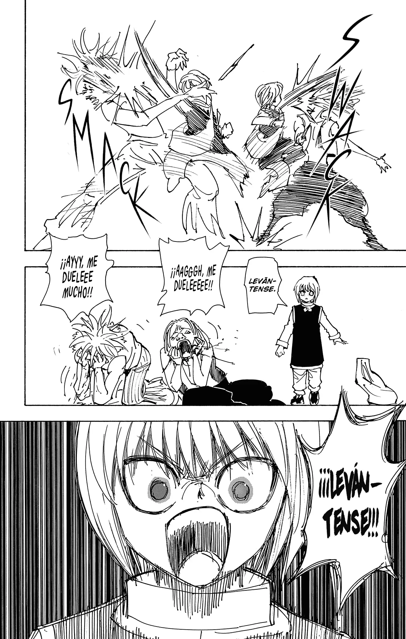 Hunter X Hunter capítulo 416.5, página 47
