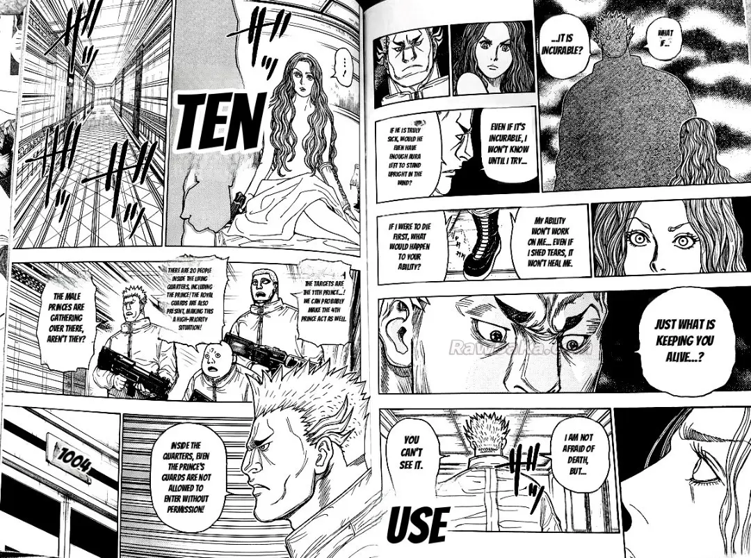 Hunter X Hunter capítulo 416, página 6