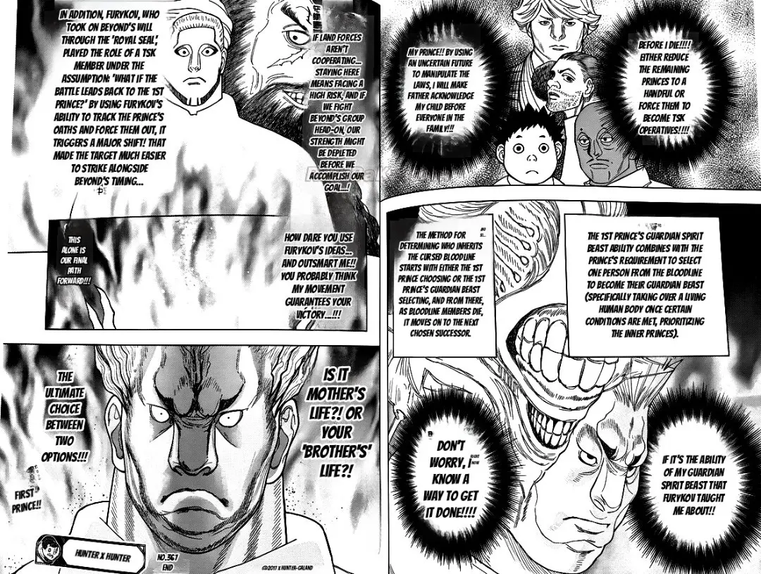 Hunter X Hunter capítulo 417, página 10