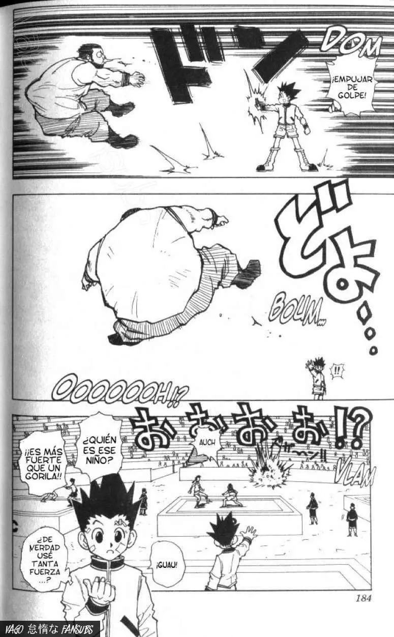 Hunter X Hunter capítulo 44, página 19