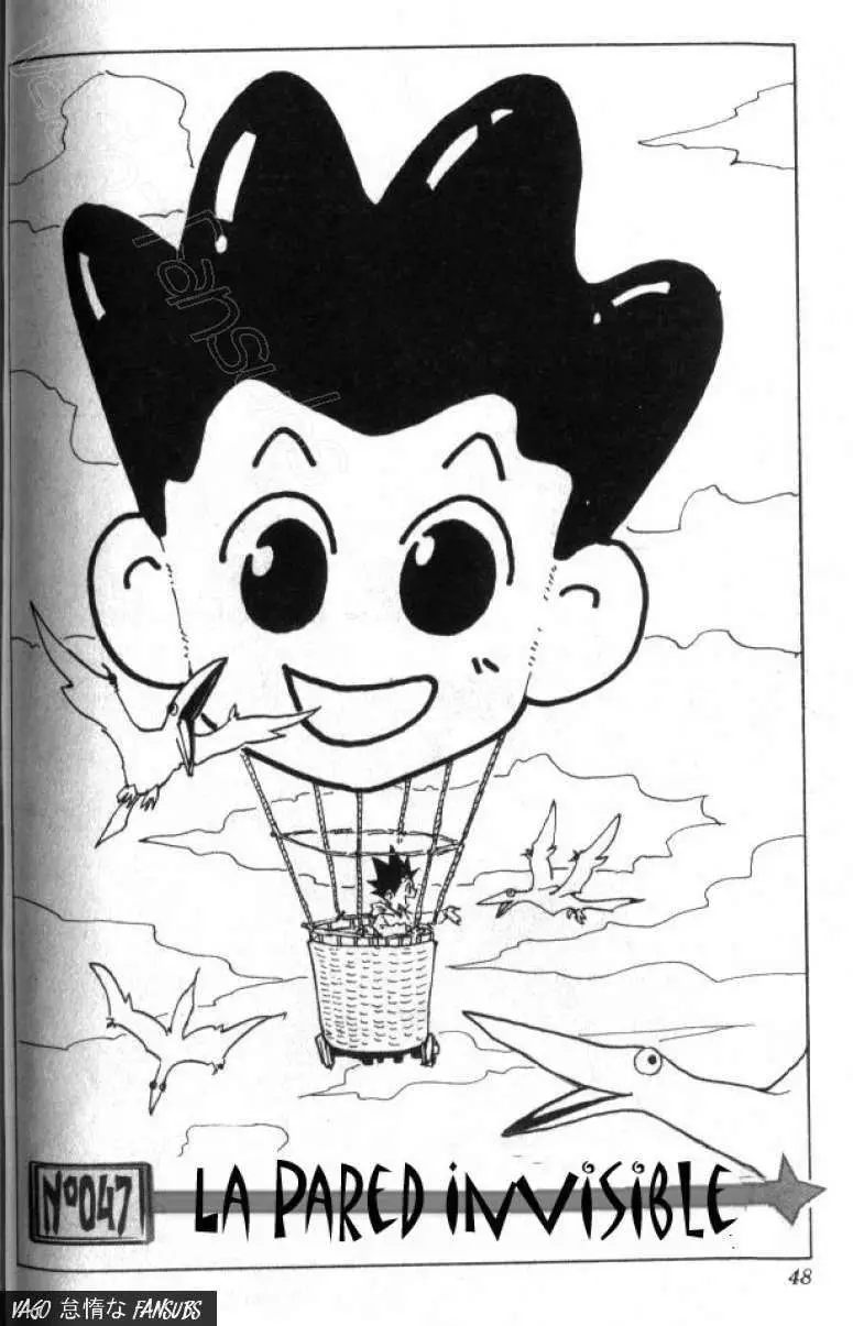Hunter X Hunter capítulo 47, página 3