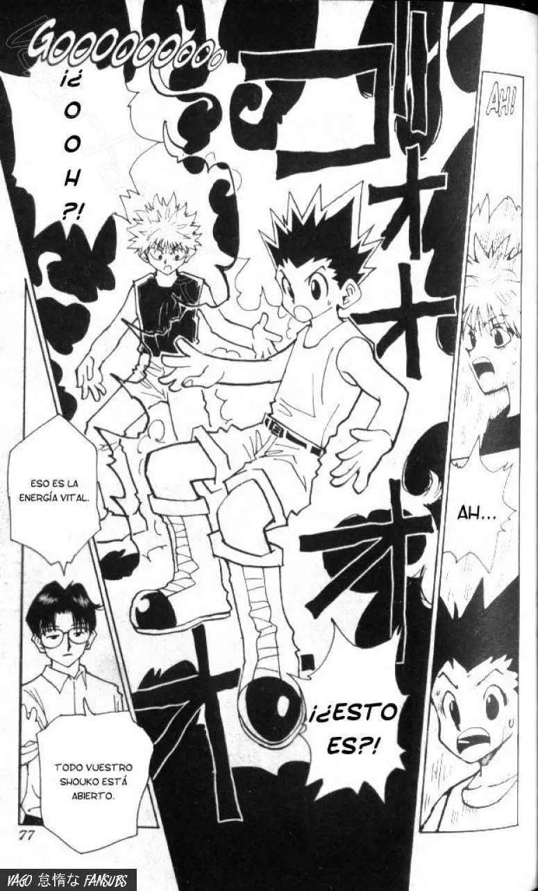 Hunter X Hunter capítulo 48, página 11