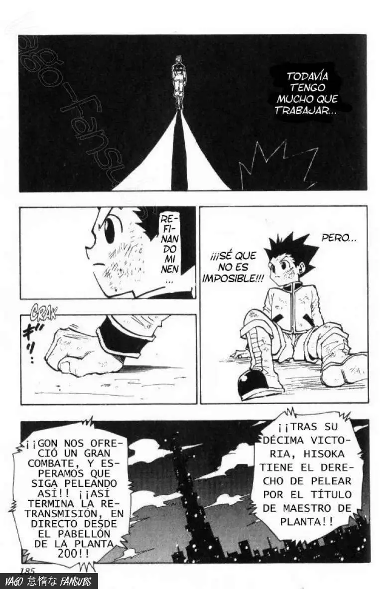 Hunter X Hunter capítulo 63, página 19