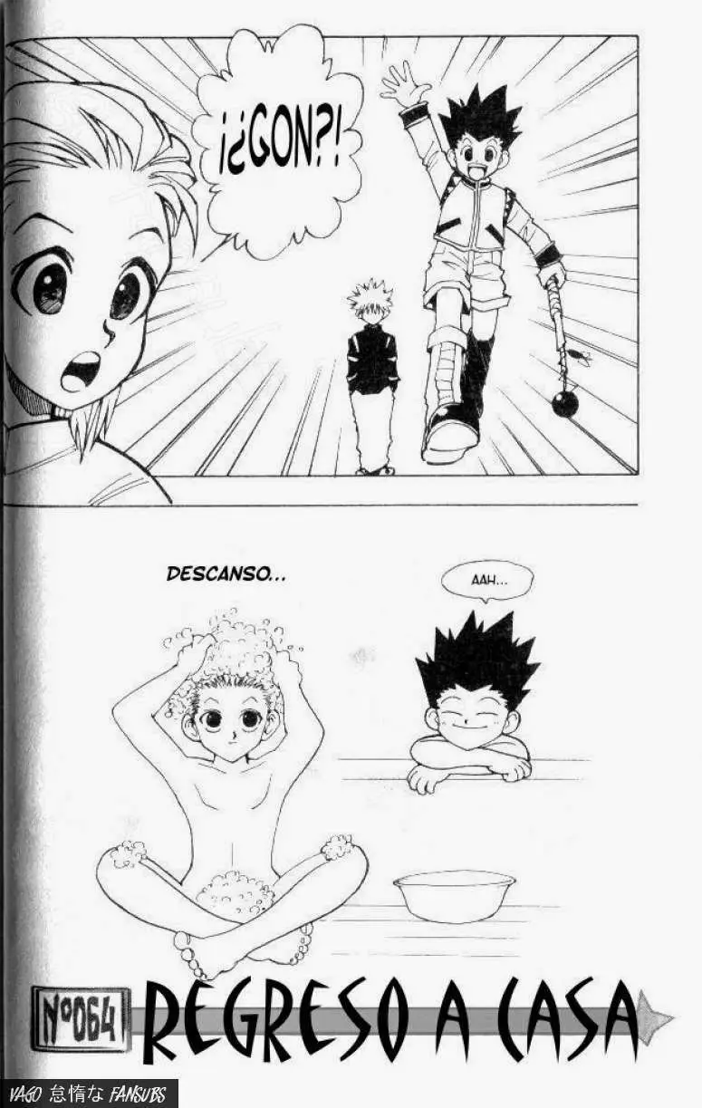 Hunter X Hunter capítulo 64, página 3