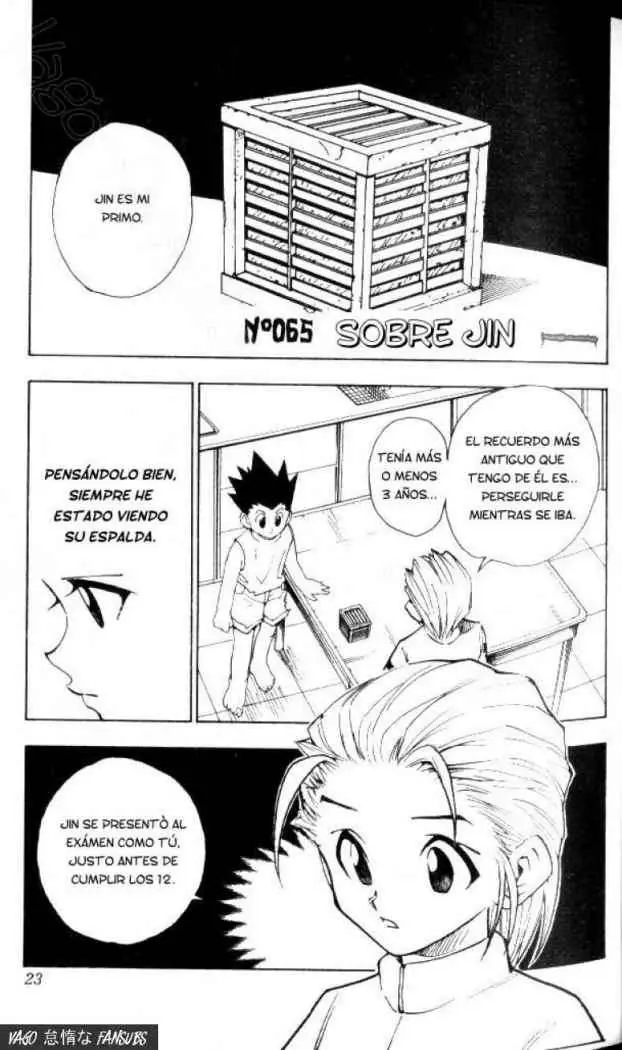 Hunter X Hunter capítulo 65, página 2