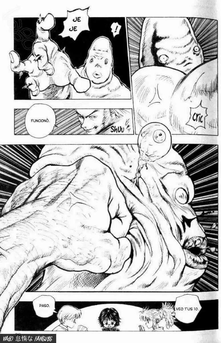 Hunter X Hunter capítulo 75, página 19