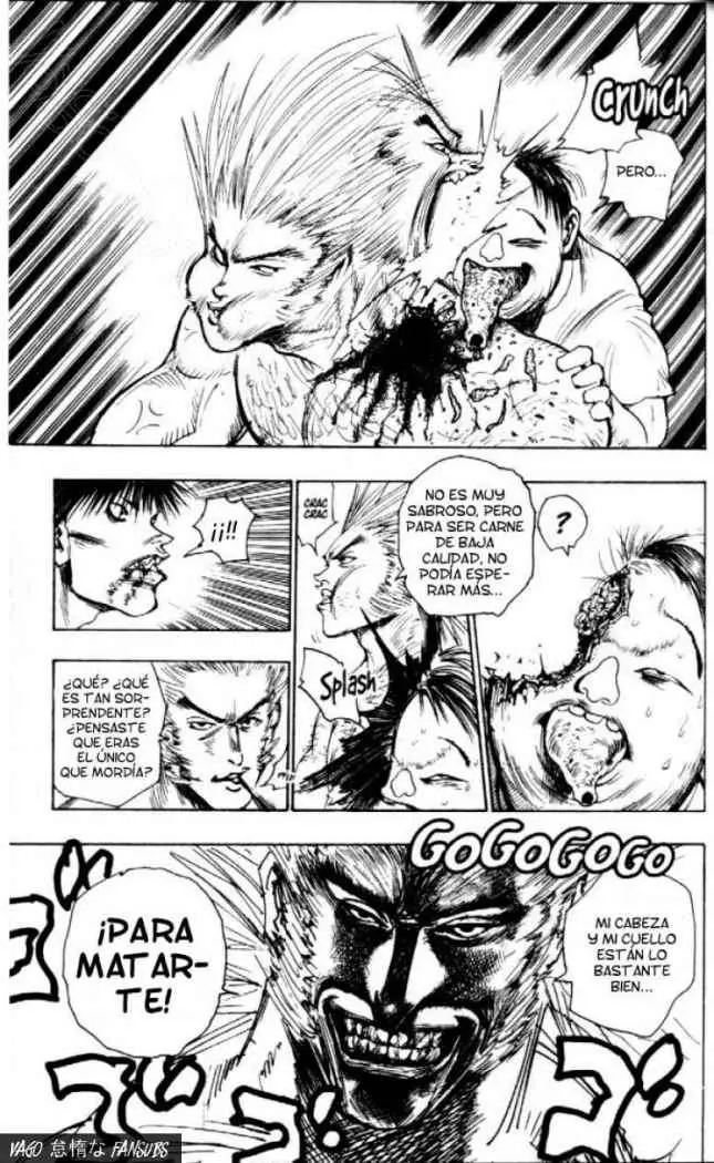 Hunter X Hunter capítulo 76, página 14