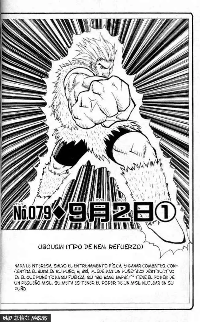 Hunter X Hunter capítulo 79, página 3