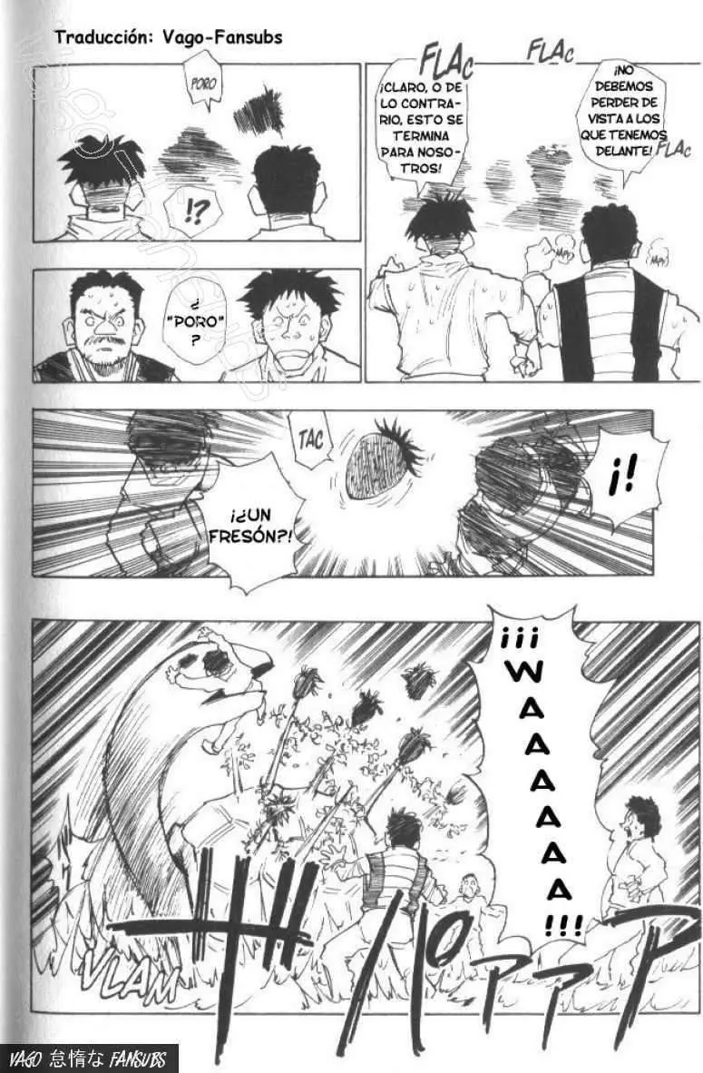 Hunter X Hunter capítulo 8, página 15