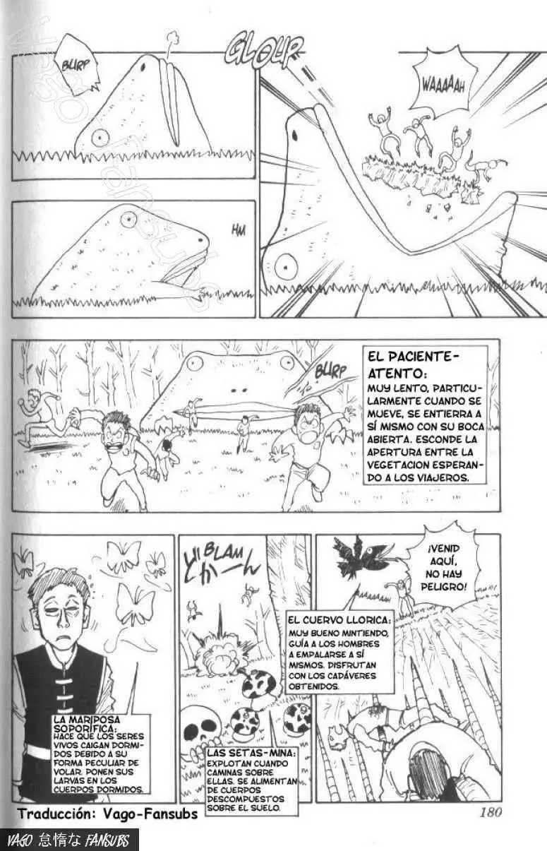 Hunter X Hunter capítulo 8, página 17