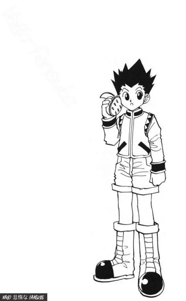 Hunter X Hunter capítulo 86, página 17