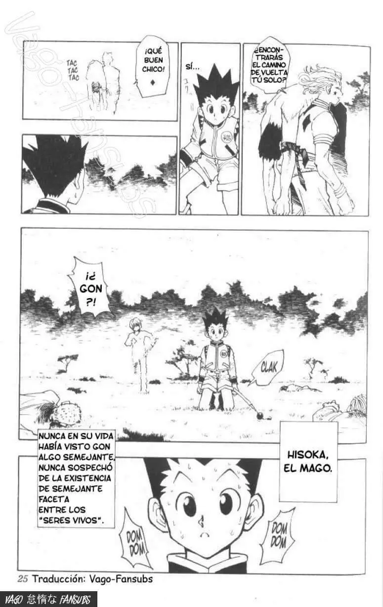 Hunter X Hunter capítulo 9, página 19
