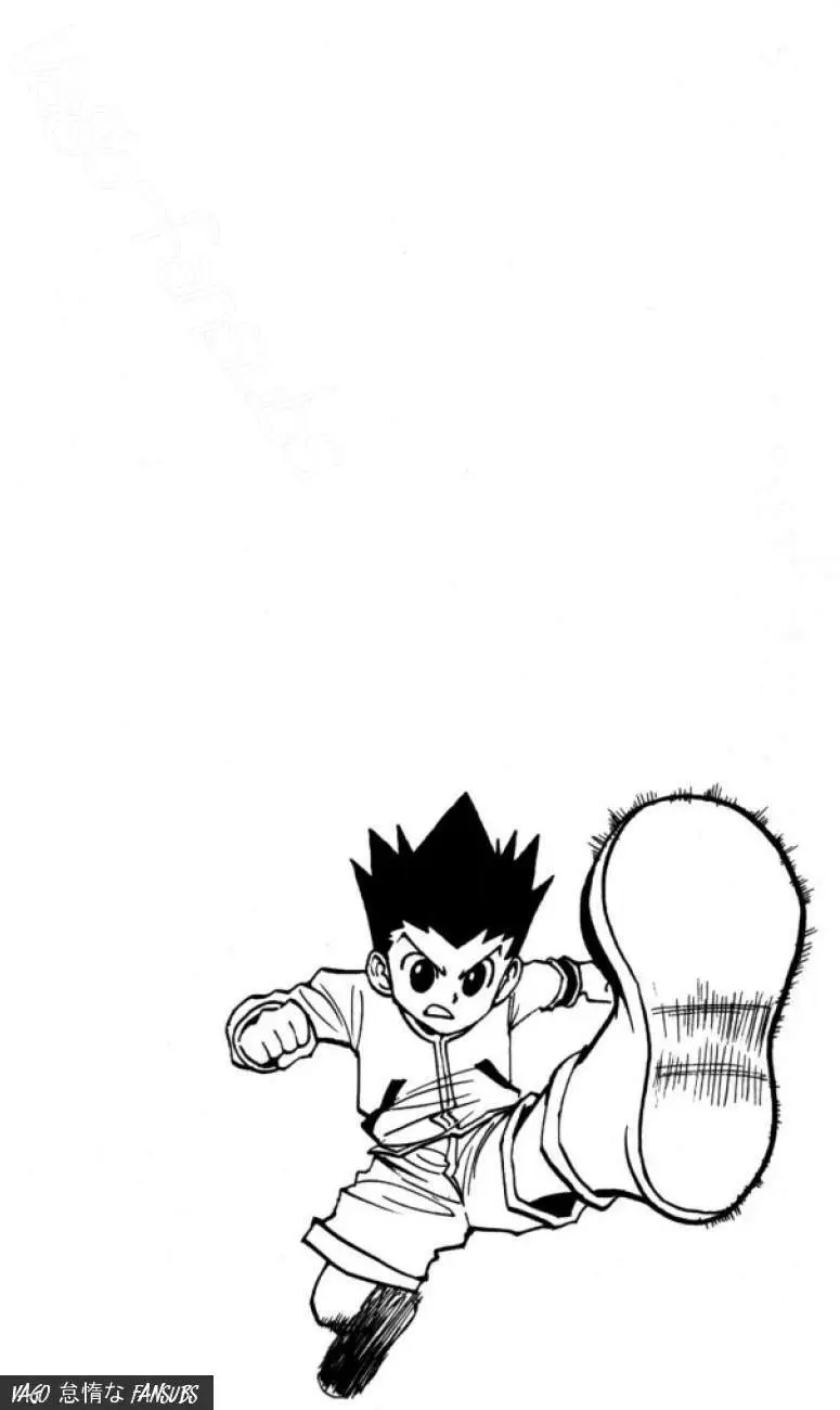 Hunter X Hunter capítulo 99, página 19