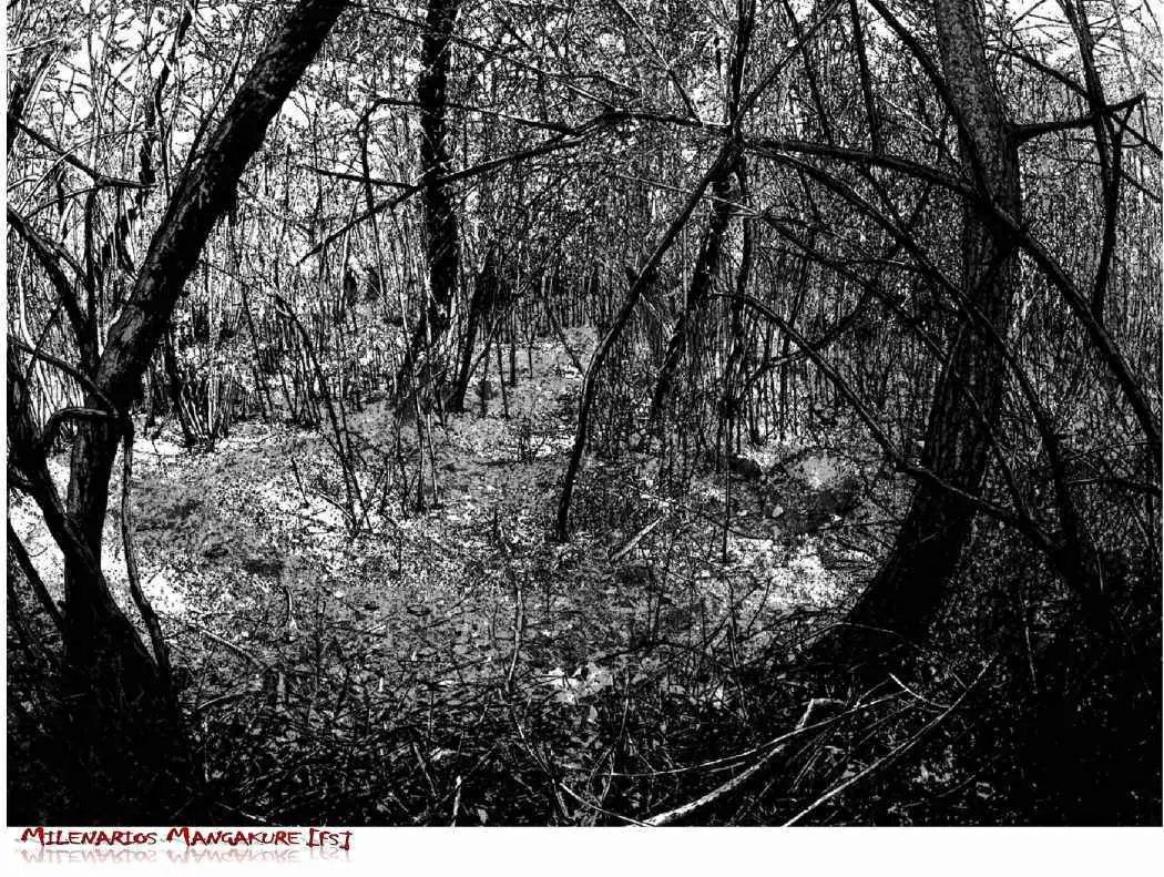 I Am A Hero capítulo 36, página 4