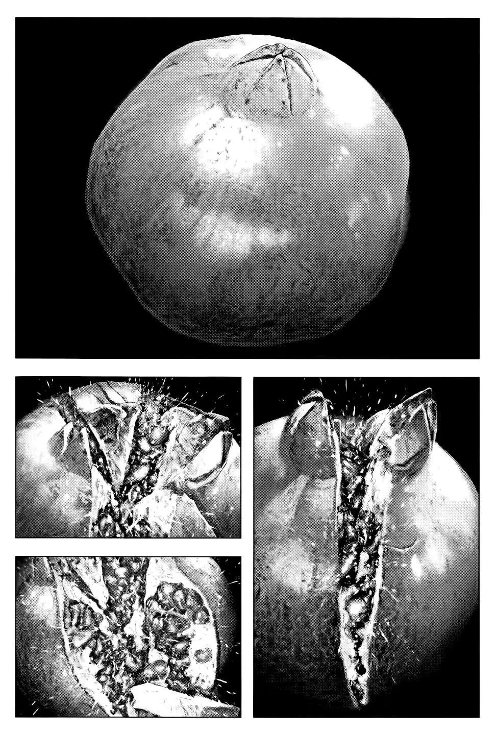 Innocent capítulo 9, página 25
