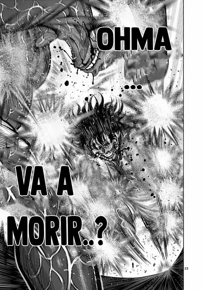 Kengan Asura capítulo 132, página 24