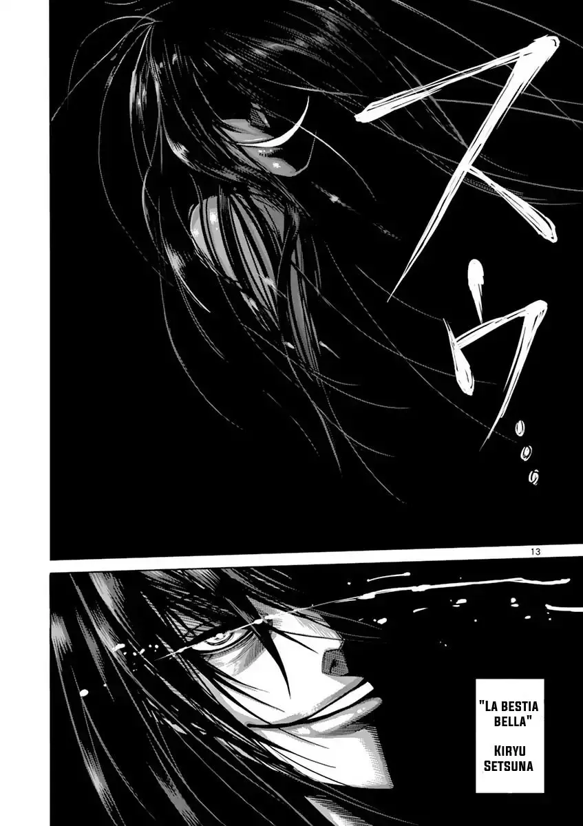 Kengan Asura capítulo 196, página 14