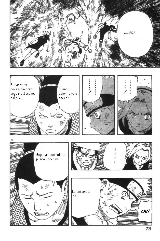 Naruto capítulo 118, página 14
