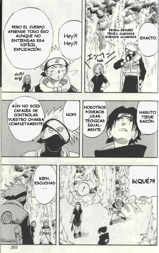 Naruto capítulo 17, página 17