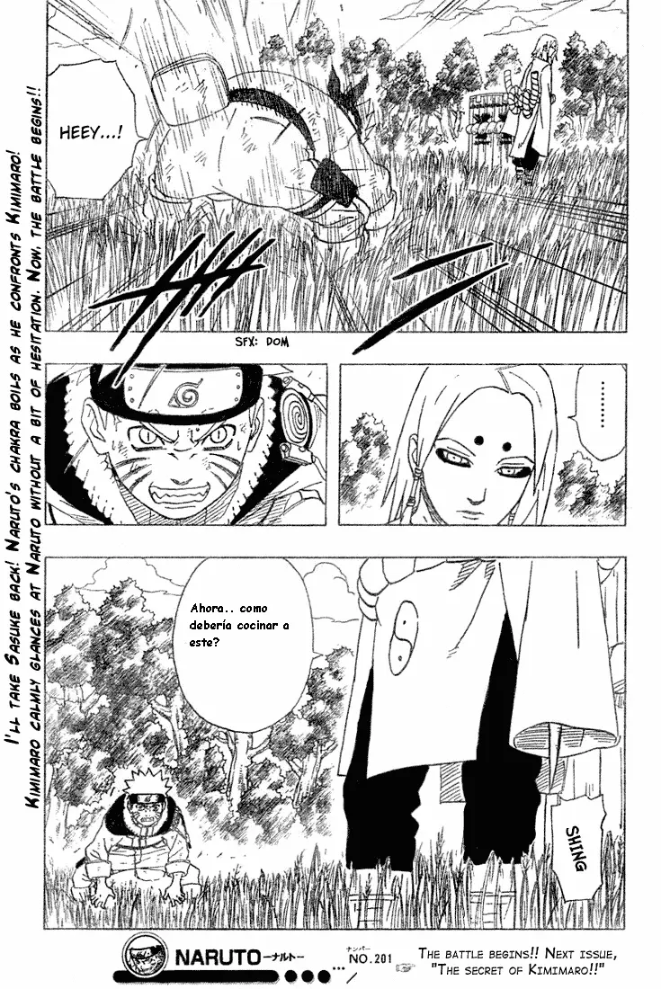 Naruto capítulo 201, página 19