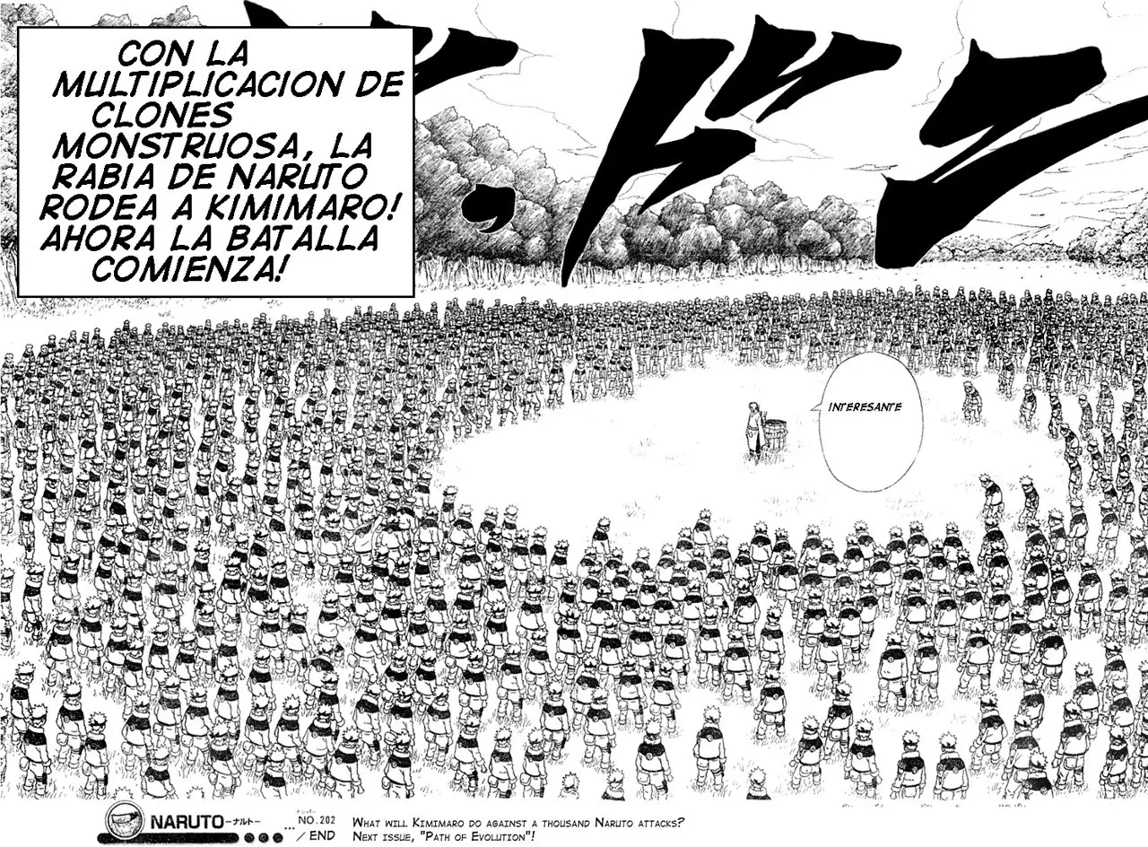 Naruto capítulo 202, página 17