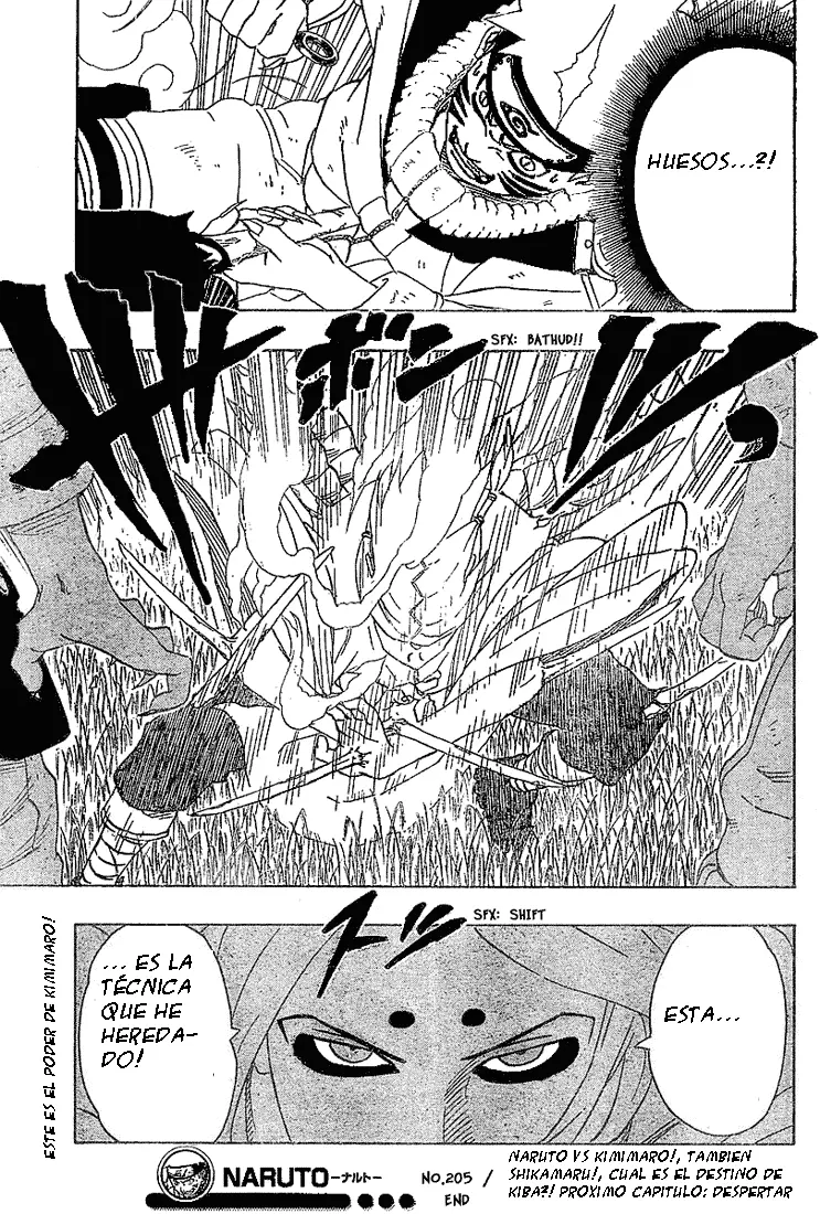 Naruto capítulo 205, página 18