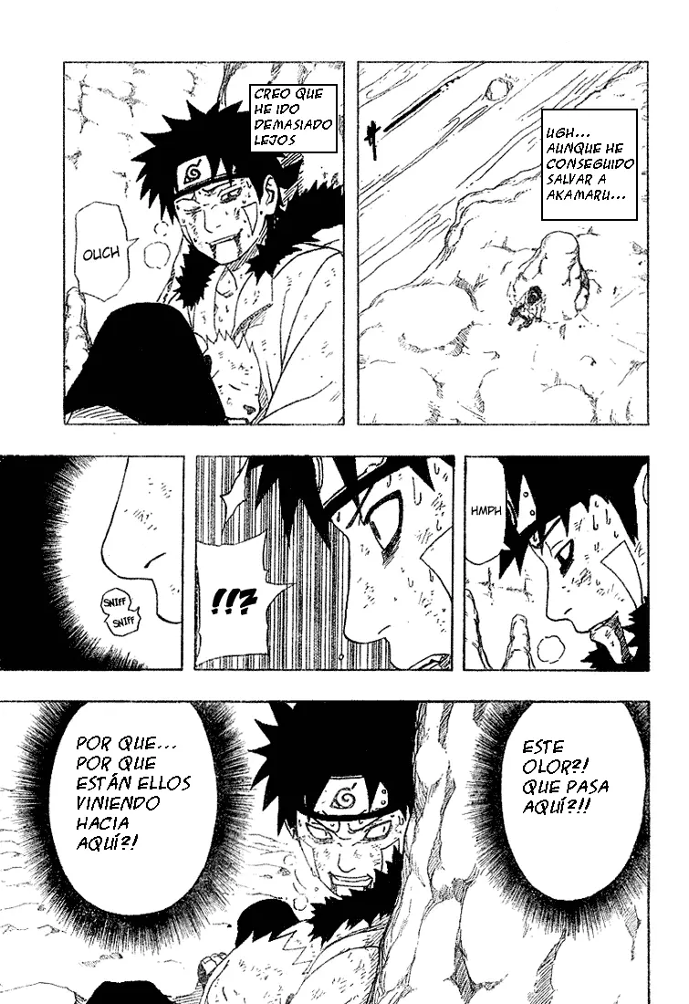 Naruto capítulo 206, página 10