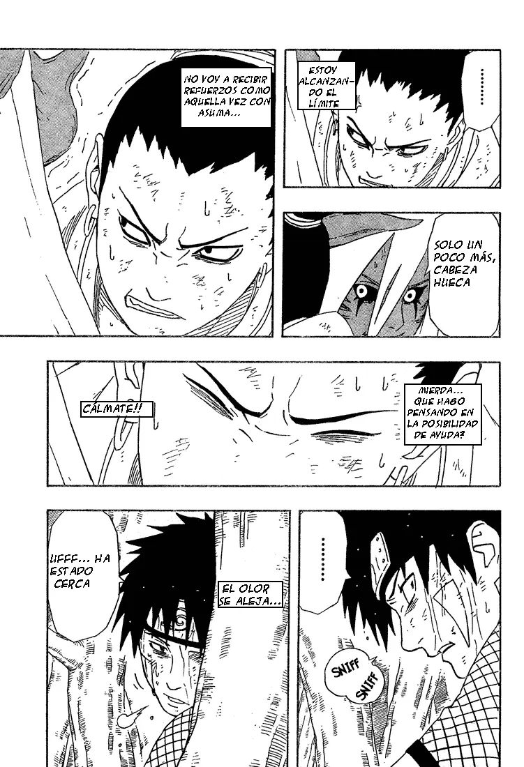 Naruto capítulo 212, página 13