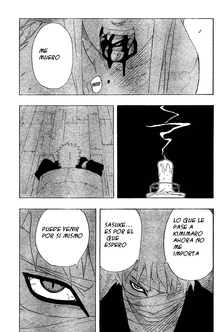 Naruto capítulo 217, página 13