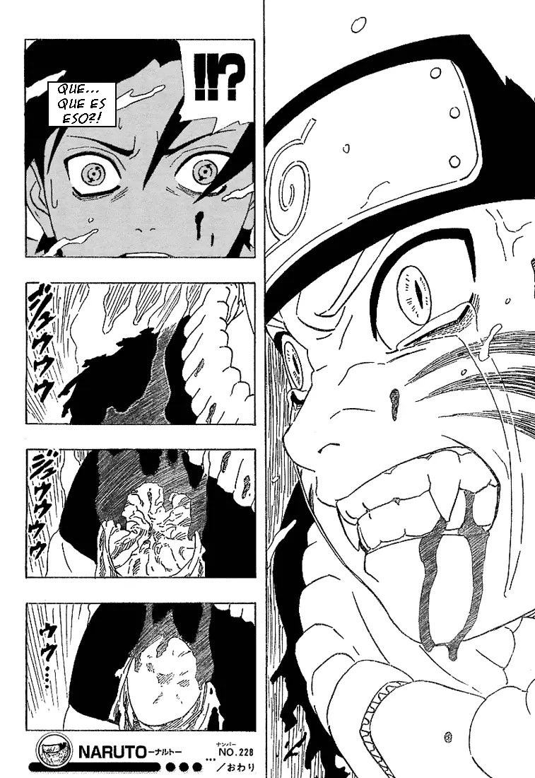 Naruto capítulo 228, página 16