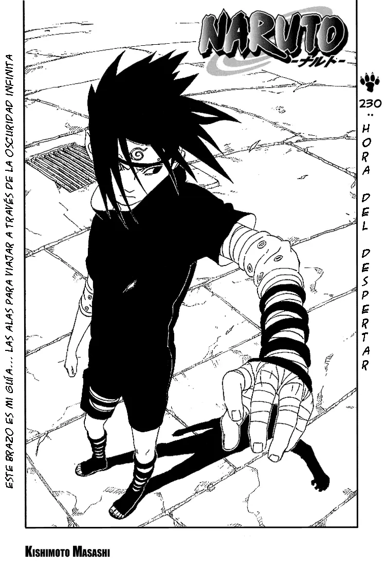 Naruto capítulo 230, página 1