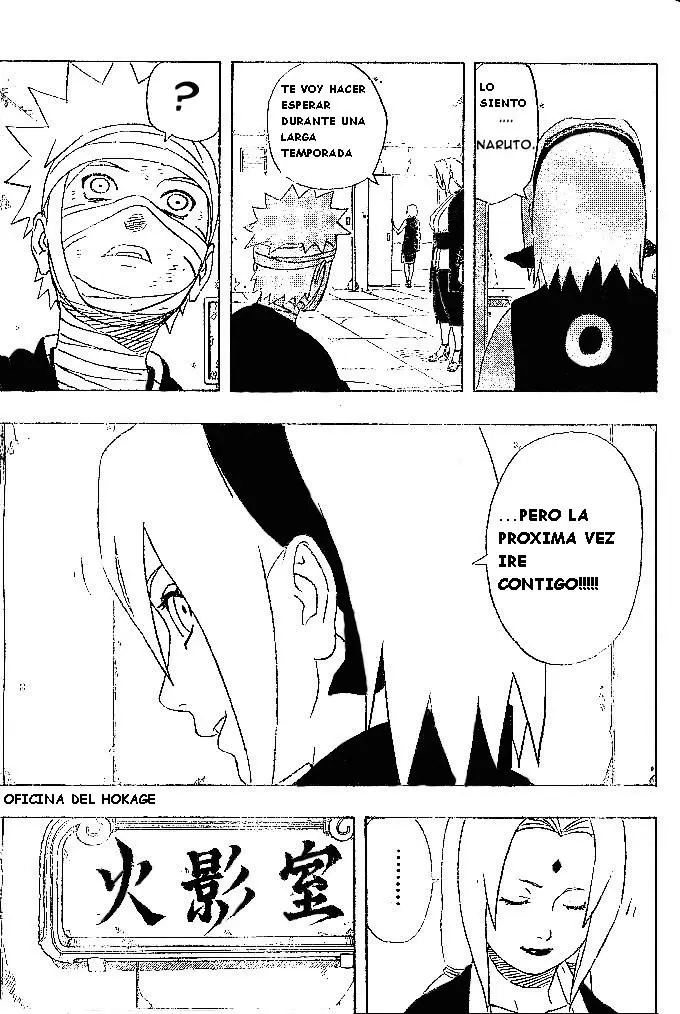 Naruto capítulo 236, página 17