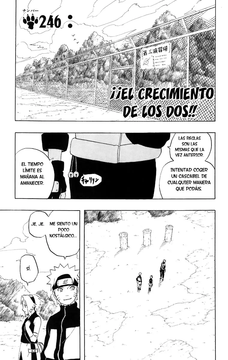 Naruto capítulo 246, página 2