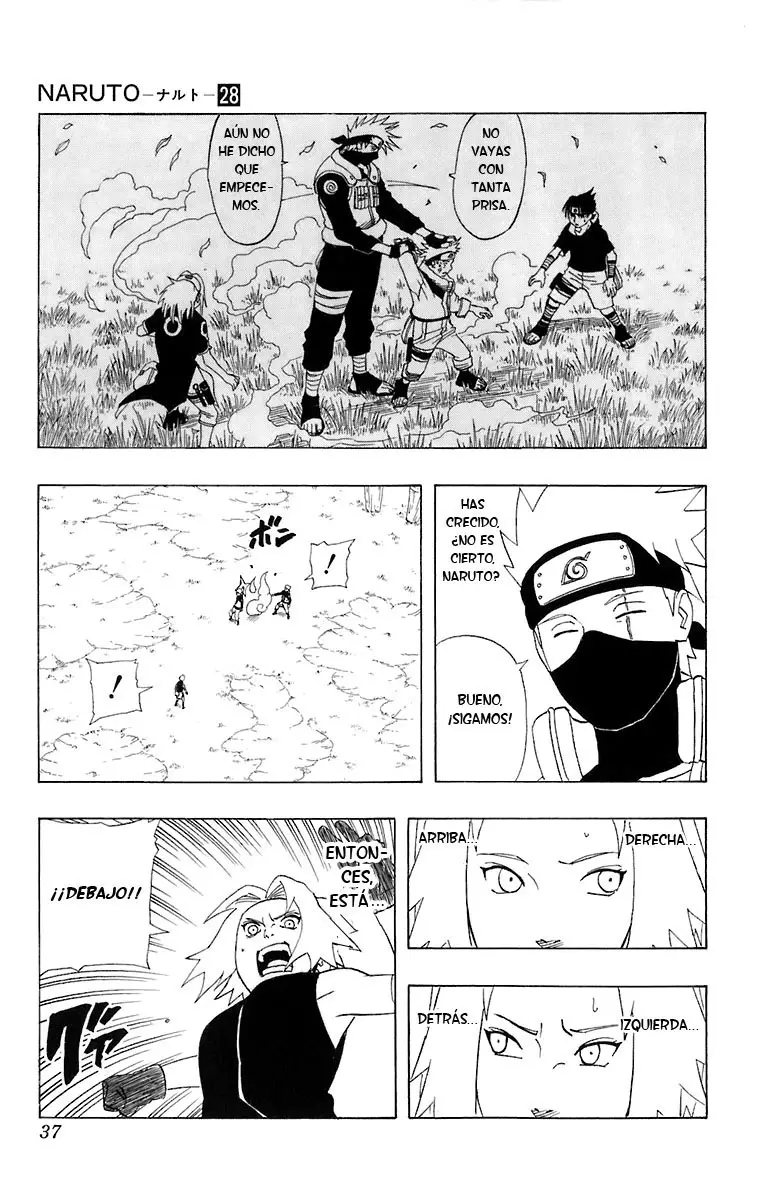 Naruto capítulo 246, página 10