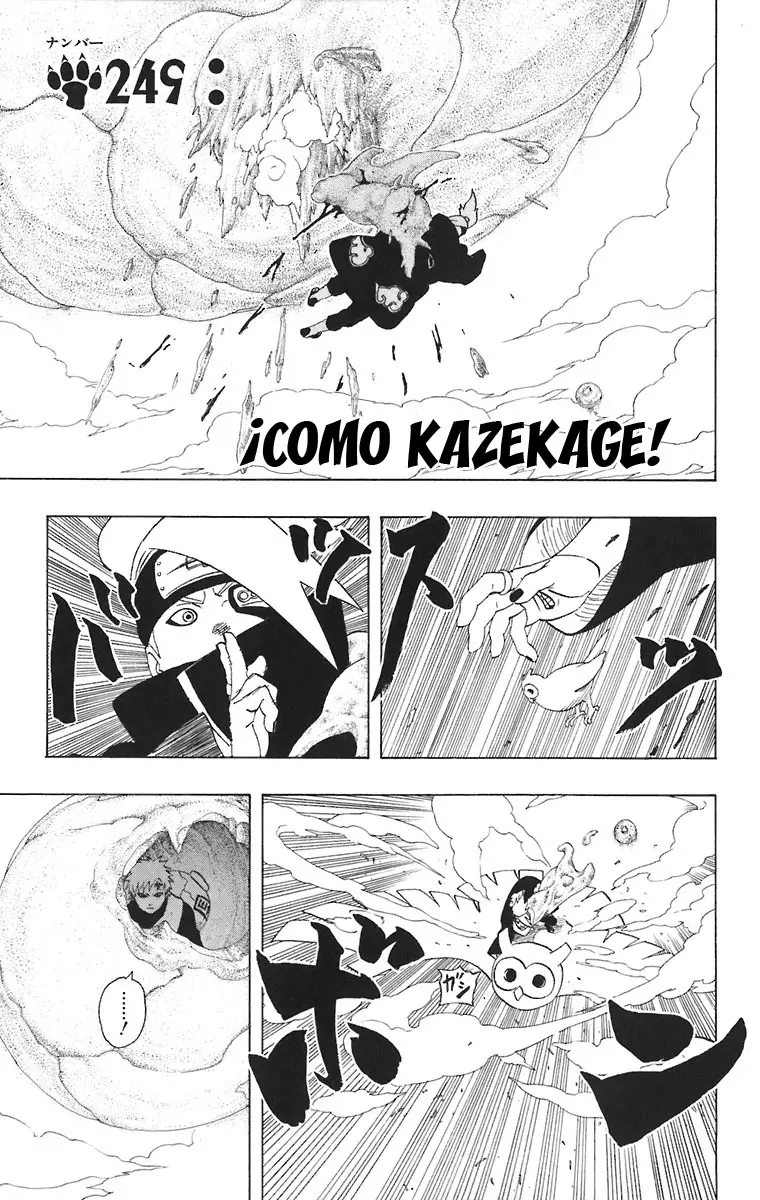 Naruto capítulo 249, página 2