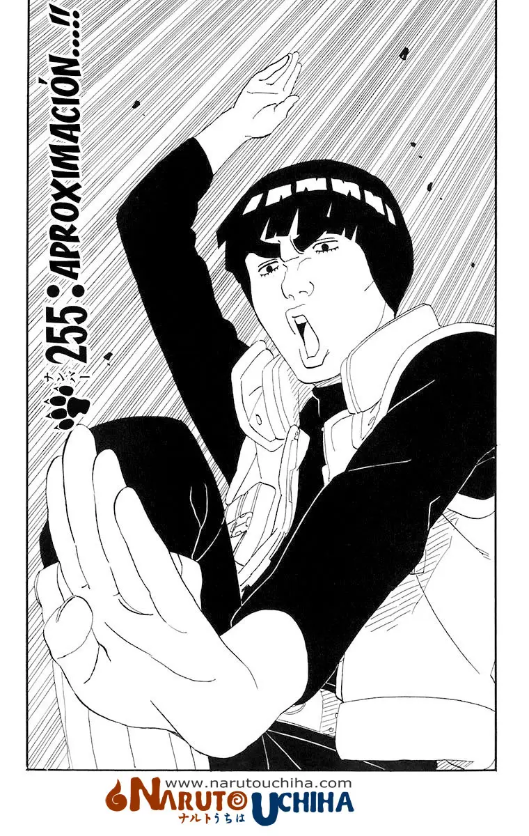 Naruto capítulo 255, página 1