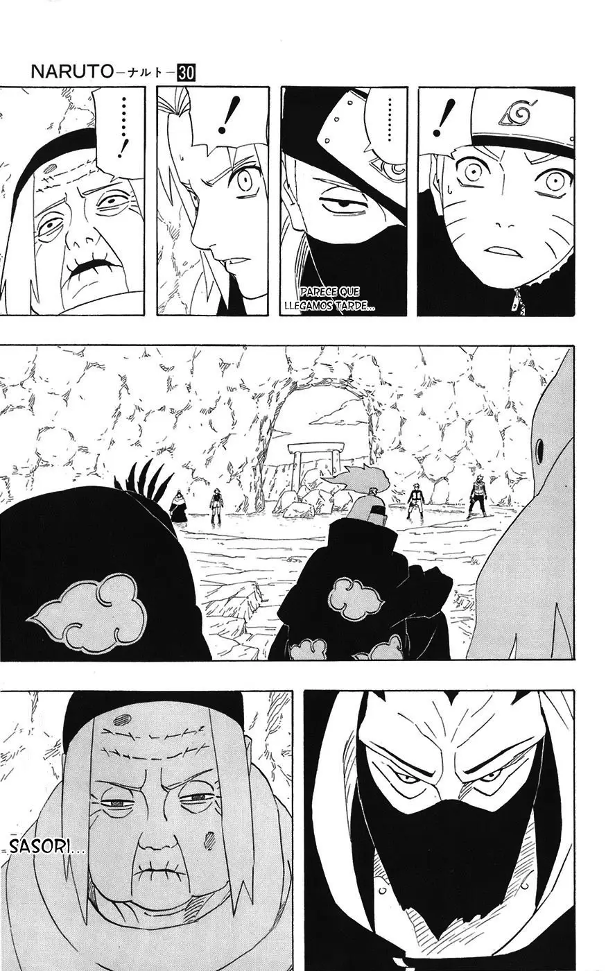 Naruto capítulo 263, página 17