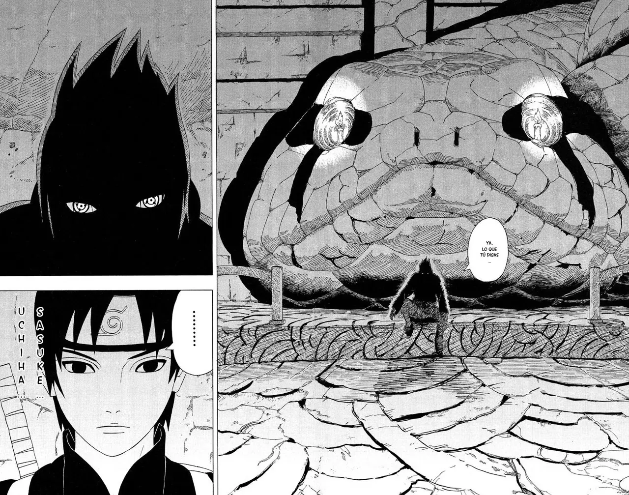 Naruto capítulo 300, página 15