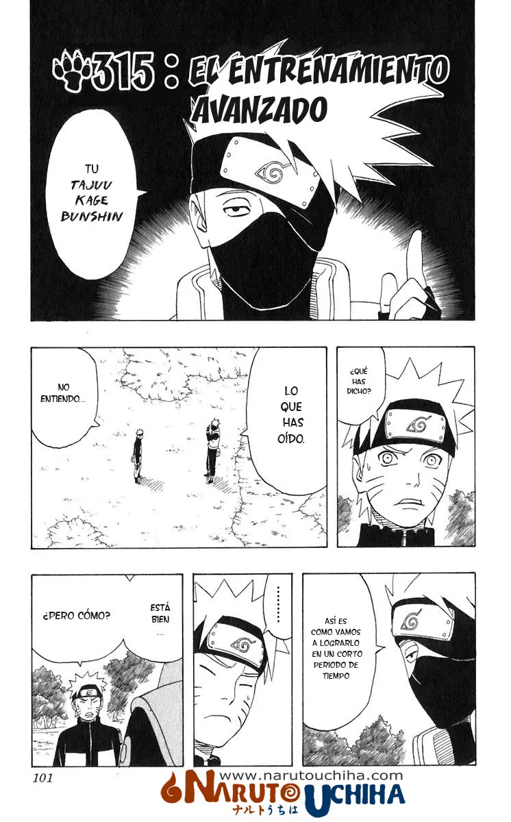 Naruto capítulo 315, página 1