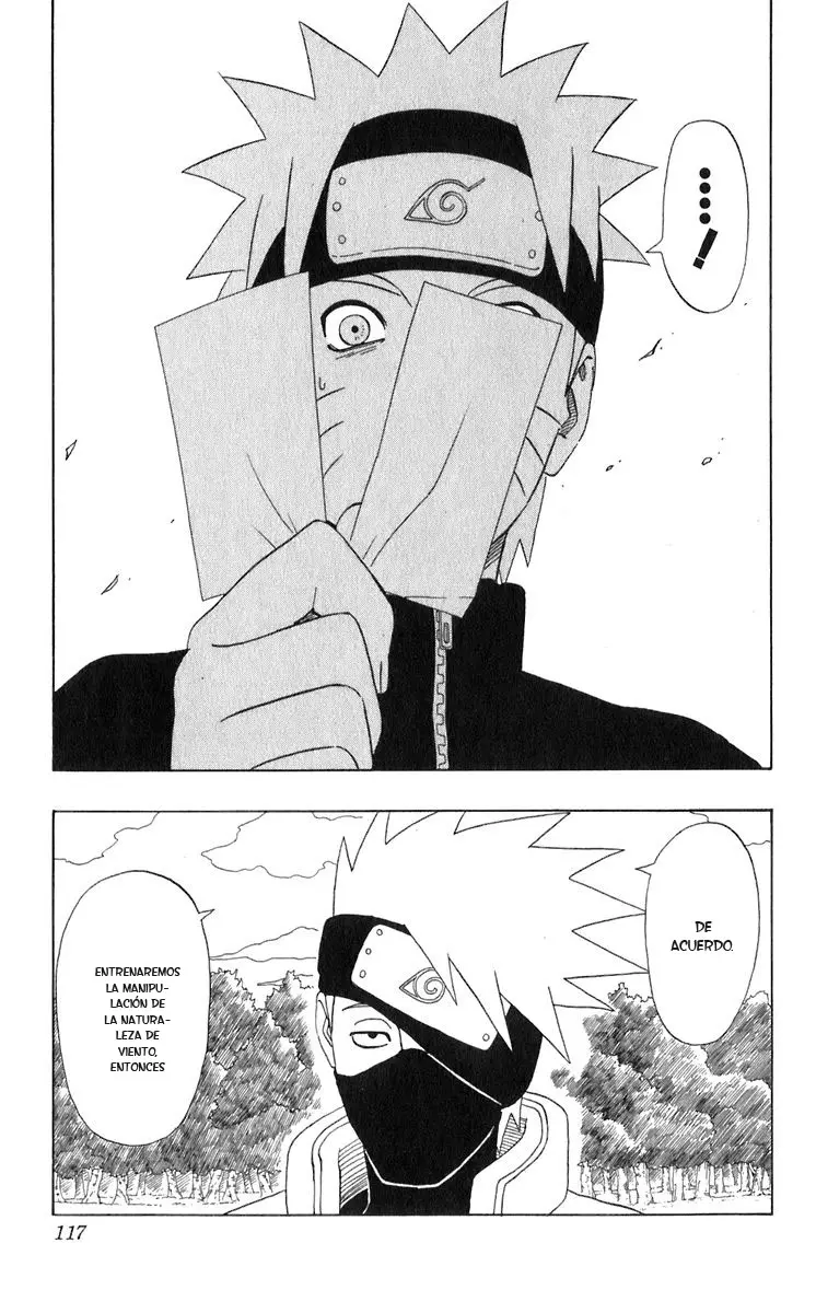 Naruto capítulo 315, página 17