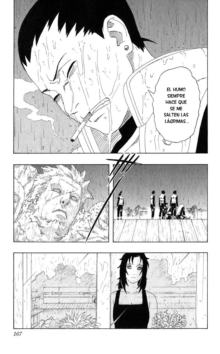 Naruto capítulo 328, página 17