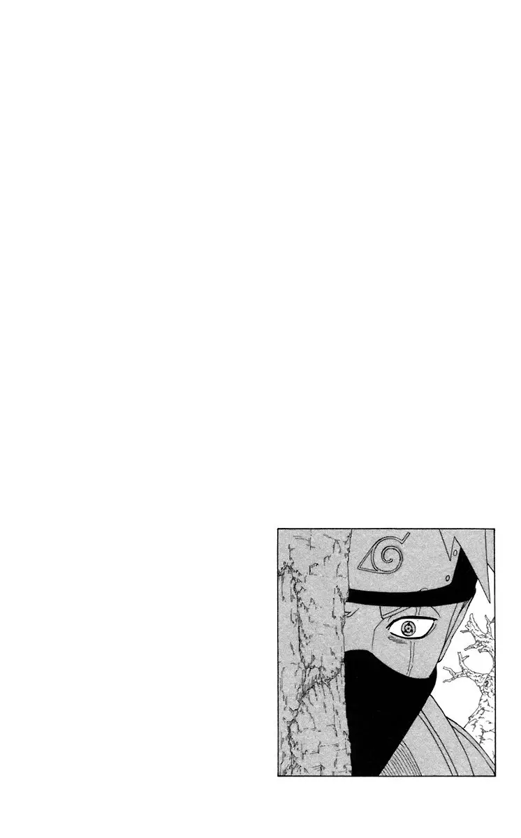 Naruto capítulo 333, página 17